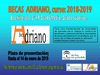 Becas Adriano 2018 19 100