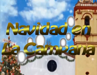 navidad 2016 200